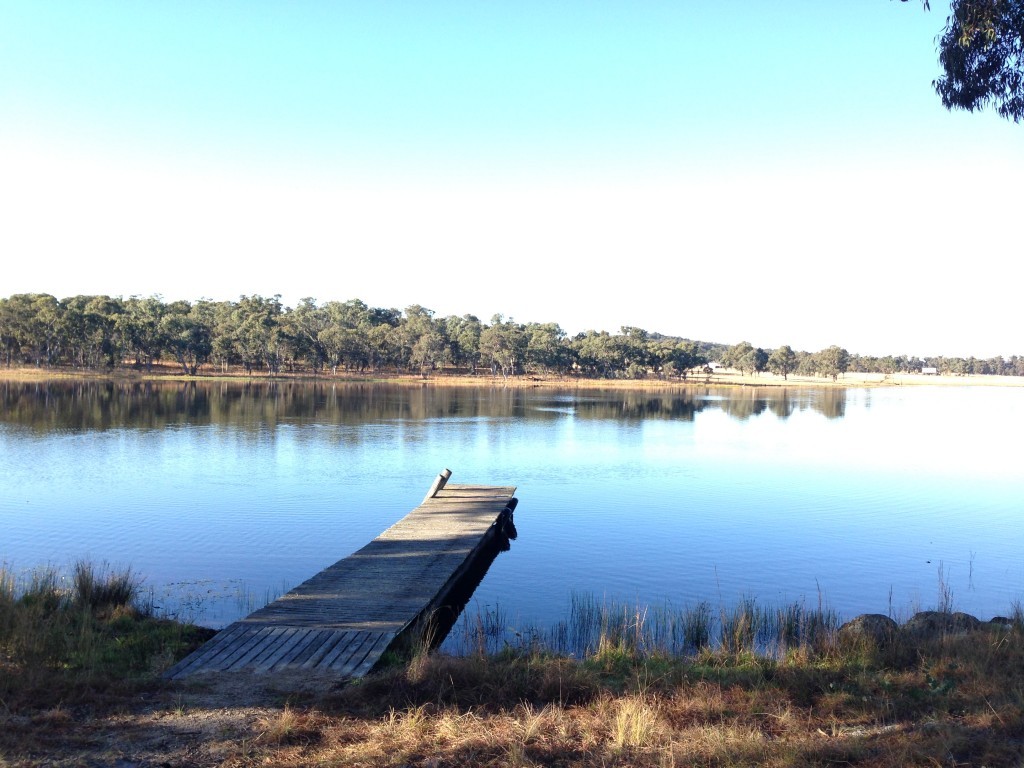 The view from our cabin at Sommerville Valley Tourist Park at Storm King